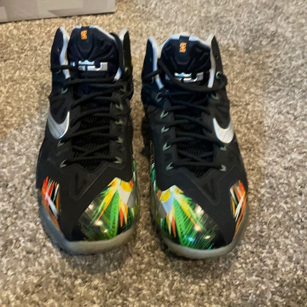 Nike Lebron 11 “Everglades”